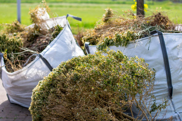 Best Scrap Metal Removal  in Wilton, IA